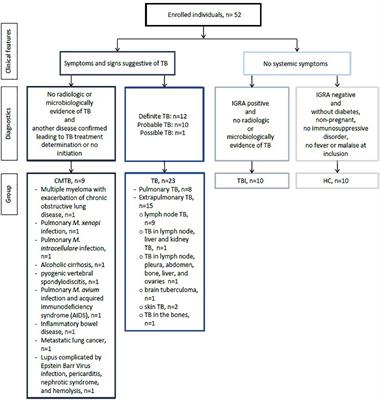 Whole-blood culture-derived cytokine combinations for the diagnosis of tuberculosis